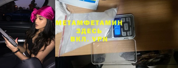 прущие грибы Коряжма
