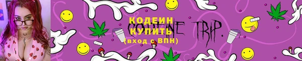 прущие грибы Коряжма