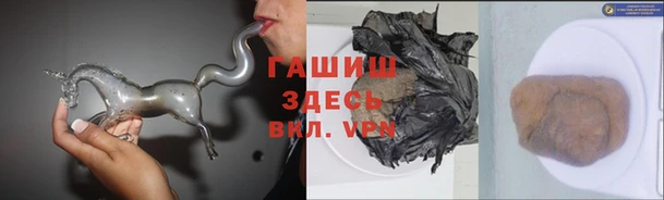 прущие грибы Коряжма