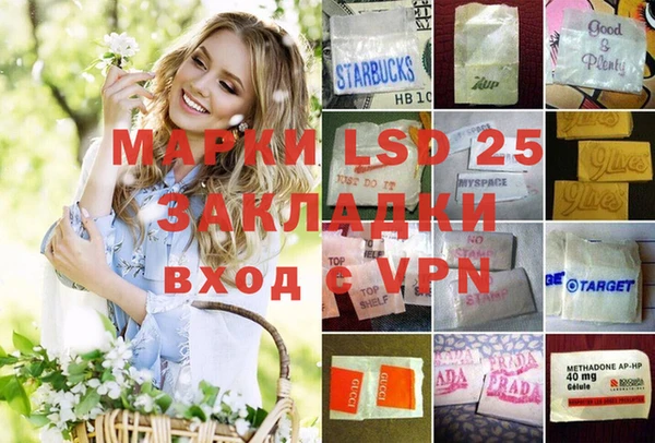прущие грибы Коряжма