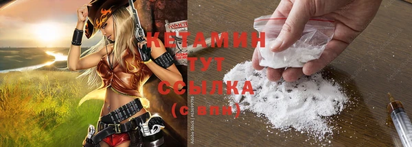 трава Кодинск