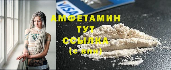 прущие грибы Коряжма