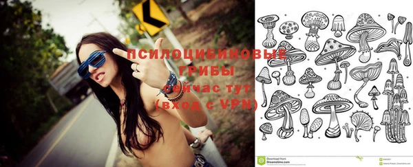 первитин Козельск