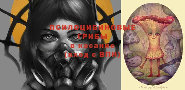 прущие грибы Коряжма