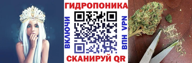 Купить где  Нижнеудинск  Шишки марихуана OG Kush 